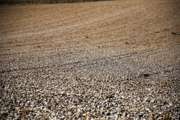 完整的框架纹理的一个新犁砂砾土壤图片下载