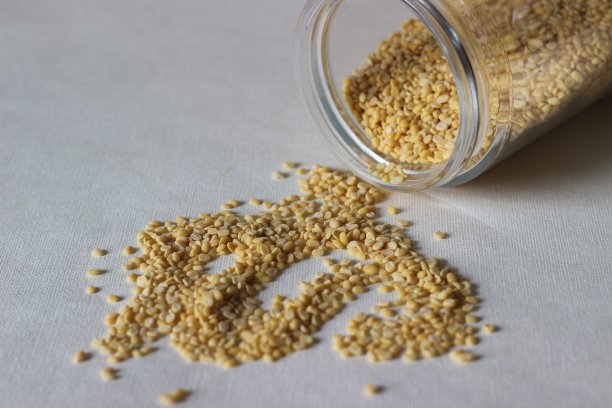 达利从储藏容器中散开了。图片下载