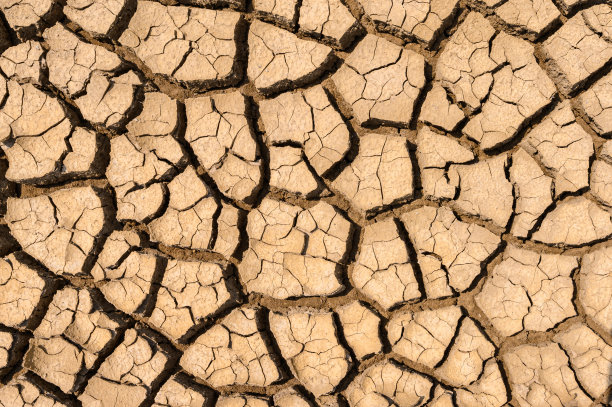 地球表面因极端高温和干旱而龟裂。图片下载