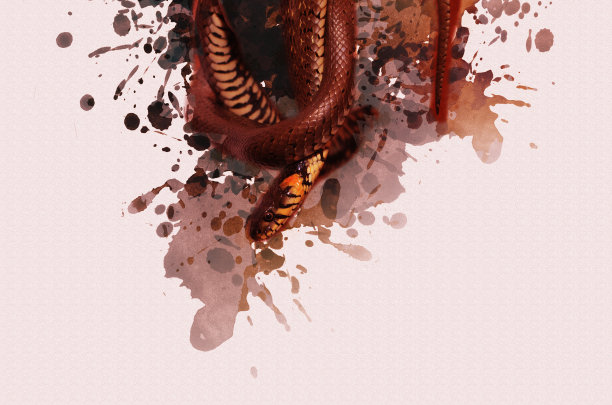 数字水彩画上一条蛇从上面垂下来。肝图片下载