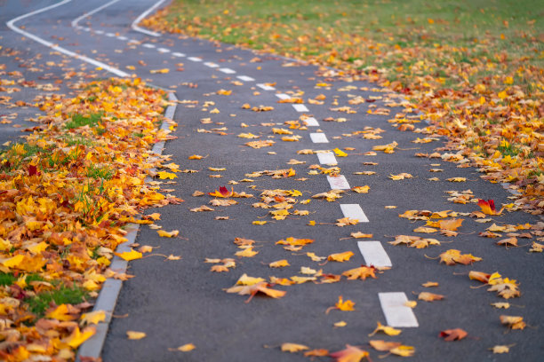 自行车道覆盖着秋天的落叶图片下载