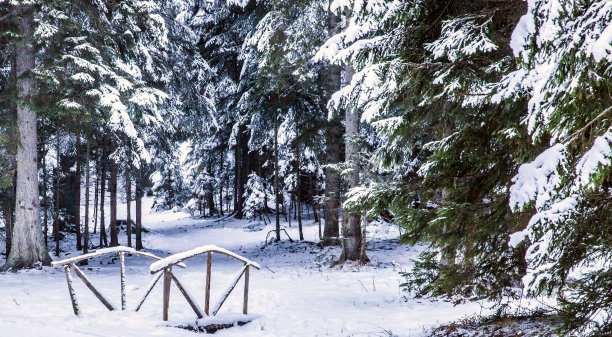 比詹巴尔是受波斯尼亚-黑塞哥维那萨拉热窝法律保护的地区图片下载