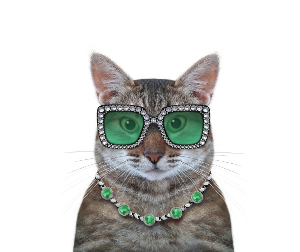 猫灰色戴着绿色的眼镜和吊坠图片下载