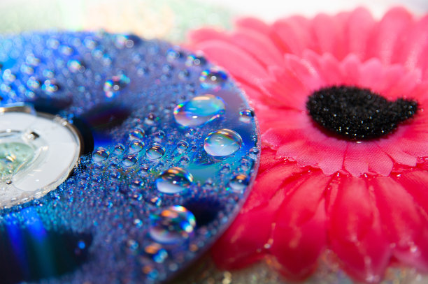 小雨打在cd图片下载