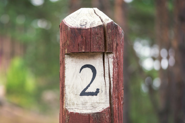 森林里的第二列图片下载