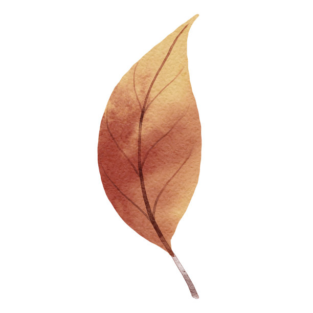 秋叶水彩风格。图片下载