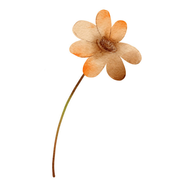 秋叶水彩风格。图片下载