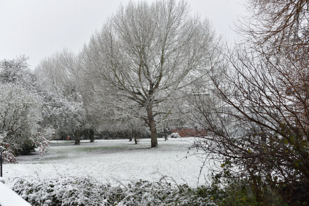 伦敦北部亨顿一个被雪覆盖的公园图片下载