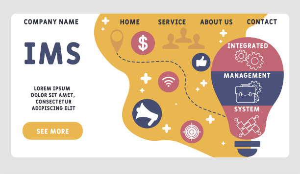 矢量网站设计模板。IMS -集成管理系统的缩写图片下载