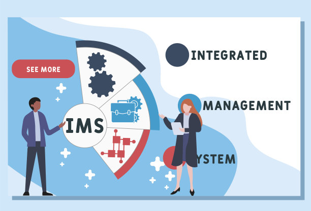 矢量网站设计模板。IMS -集成管理系统的缩写图片下载