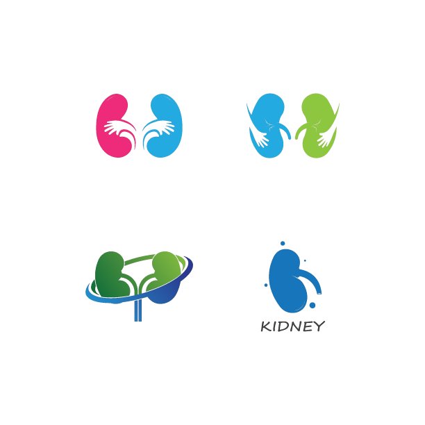 肾脏标志矢量图片下载