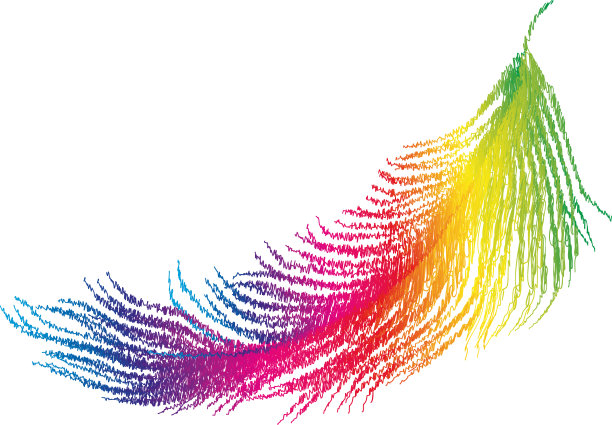 矢量涂鸦的彩色鸟羽毛图片下载