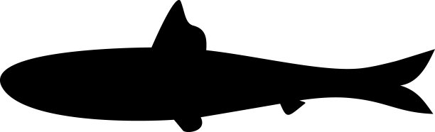 卡通沙丁鱼的黑色剪影孤立在白色背景上图片下载