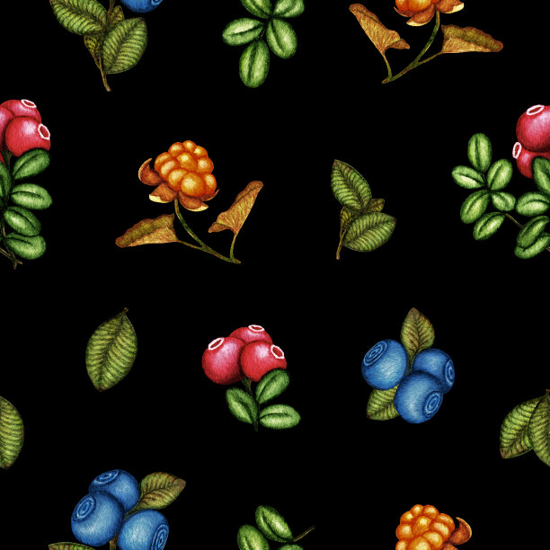 野生森林浆果水彩无缝模式。品种有叶子的秋季季节性浆果-云莓，越橘，蓝莓，越橘。手绘黑色背景为复古打印图片下载