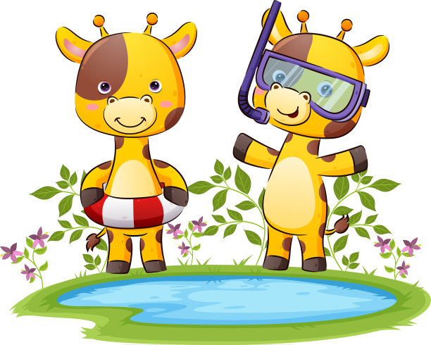 幸福的长颈鹿夫妇准备好了图片下载