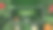 夏季出售旗帜与热带树叶背景图片下载
