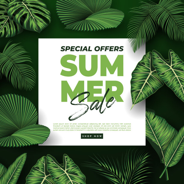 夏季出售旗帜与热带树叶背景图片下载