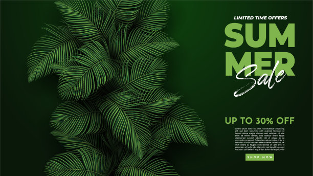 夏季出售旗帜与热带树叶背景图片下载