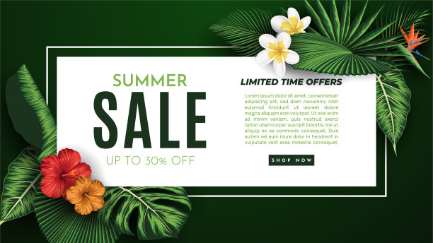 夏季出售旗帜与热带树叶背景图片下载