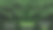 夏季出售旗帜与热带树叶背景图片下载
