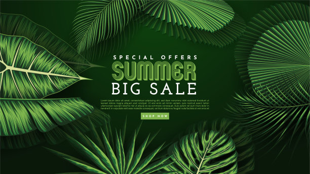 夏季出售旗帜与热带树叶背景图片下载