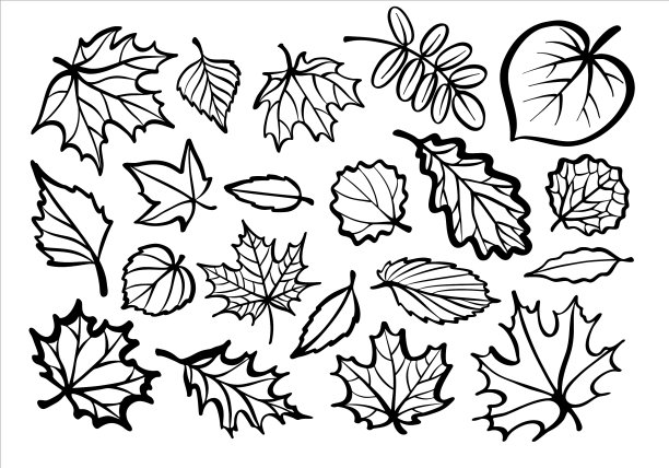 一套留下黑色和白色图片下载