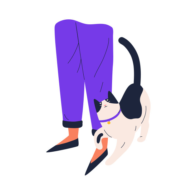 可爱快乐的猫咪蹭着主人的腿图片下载