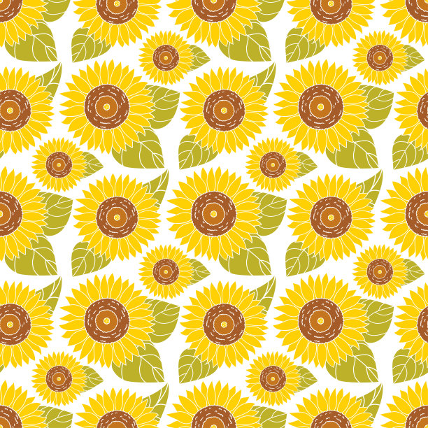 向日葵和白色背景上的叶子的图案。秋收的点缀。无缝矢量插图平面风格。图片下载