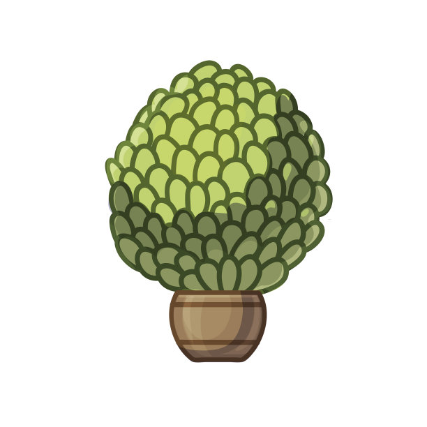 花盆中装饰修剪的圆形灌木植物图片下载