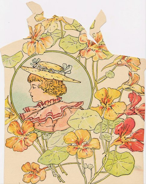 女人的侧写与旱金莲花图片下载