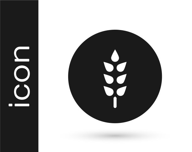 黑色谷物与大米，小麦，玉米，燕麦图片下载