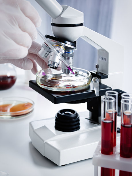 实验室助理使用带显微镜的移液管进行研究图片下载
