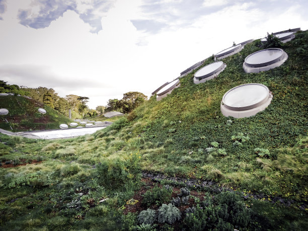 加州科学院生活屋顶图片下载