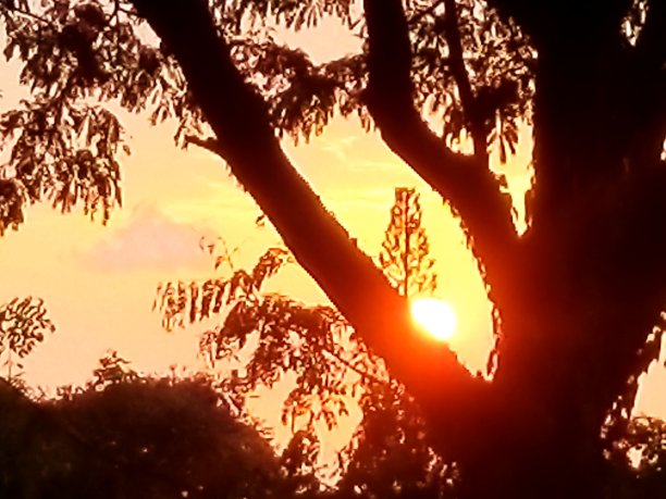 科纳日落图片下载