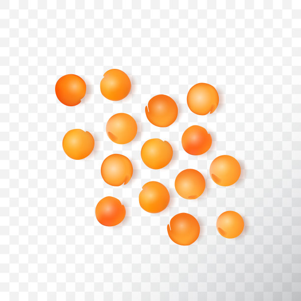 现实3d干红色扁豆种子图片下载