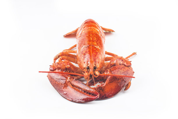 新鲜烹制的波士顿龙虾图片下载