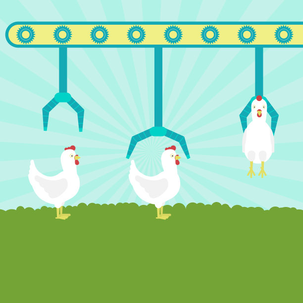 机械生产的鸡图片下载