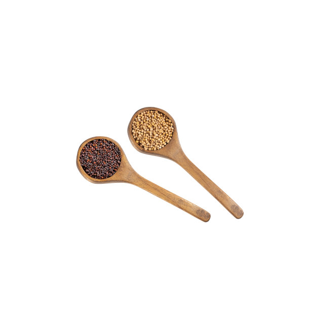 有机棕色和黄色芥末种子-白色背景图片下载