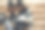 两个年轻的女孩在秋天的城市和公园里漫步图片下载