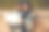 两个年轻的女孩在秋天的城市和公园里漫步图片下载