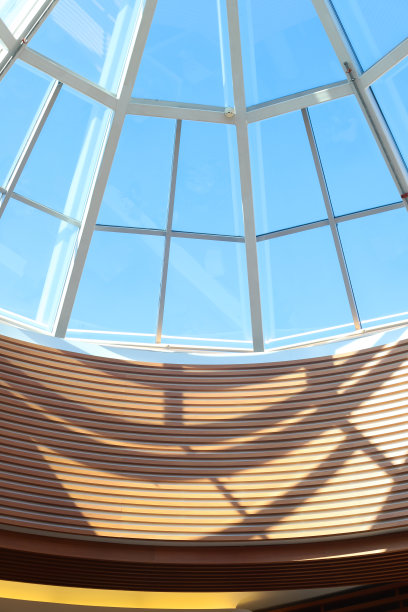 阳光明媚的日子里，玻璃圆顶建筑在商场的阴影里。垂直的照片。图片下载