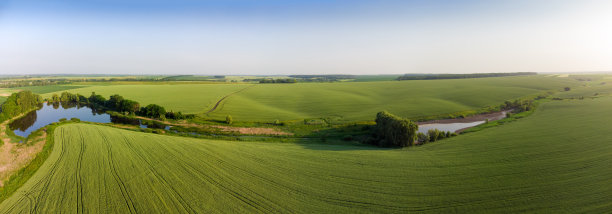 山谷山坡上未成熟的麦田，鸟瞰全景图片下载