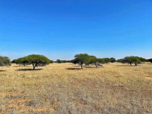 农业领域图片下载