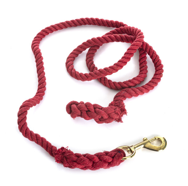 纯粹的肺图片下载