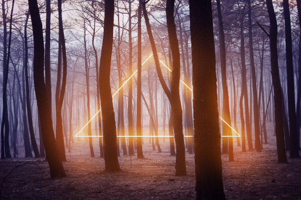 几何霓虹灯在森林中图片下载