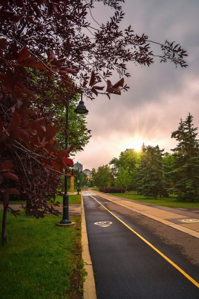阳光灿烂的天空照耀着夏日的小径图片下载