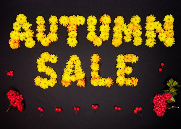 文字秋天出售黄色开花菊花的头。销售下降。平的。黑色背景与复制空间。图片下载
