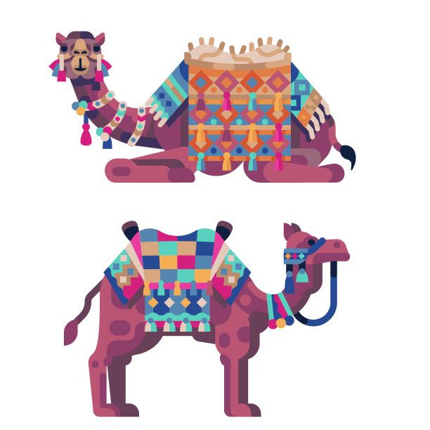 东方骆驼躺着和站着图片下载