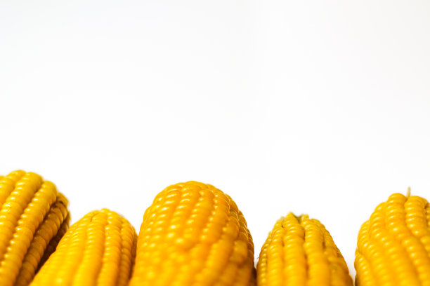 煮过的黄色甜玉米放在白色的背景上。纹理。创意的食物。波动的玉米。玉米的全部和部分。生态食品的概念。有选择性的重点图片下载