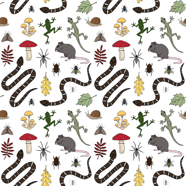 矢量无缝图案的彩色手绘涂鸦素描森林动物啮齿动物爬行动物和昆虫图片下载